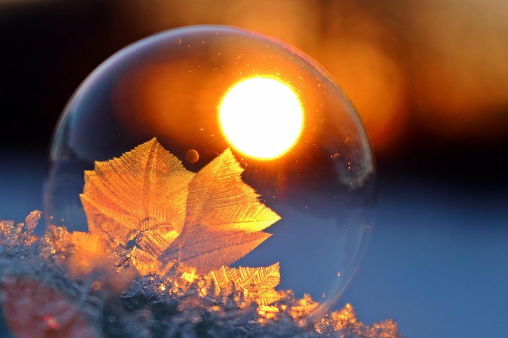 ice flowers, soap bubble, ice crystals, afterglow, sunset, winter, frost, frozen soap bubble, frozen, bullet, nature, frozen bubble